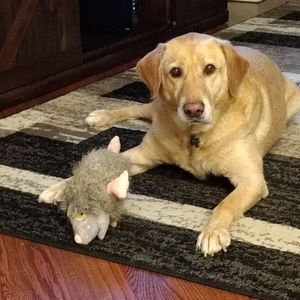 Meet your Posher, Janis